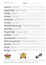 DSS_2S_Bu_str_Nr_01.pdf